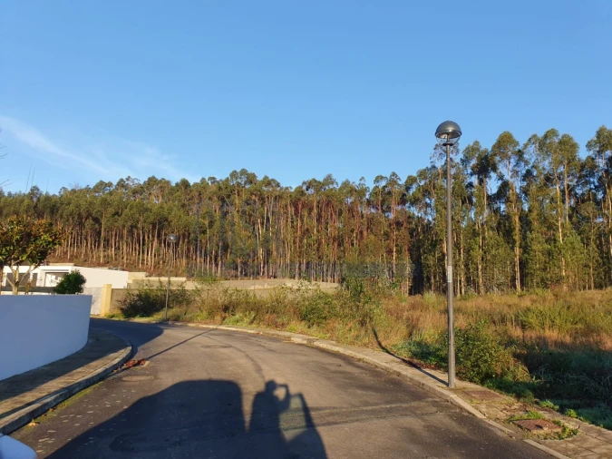 Terreno para Venda em Vilarinho das Cambas Foto 3