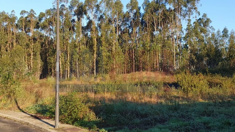 Terreno para Venda em Vilarinho das Cambas
