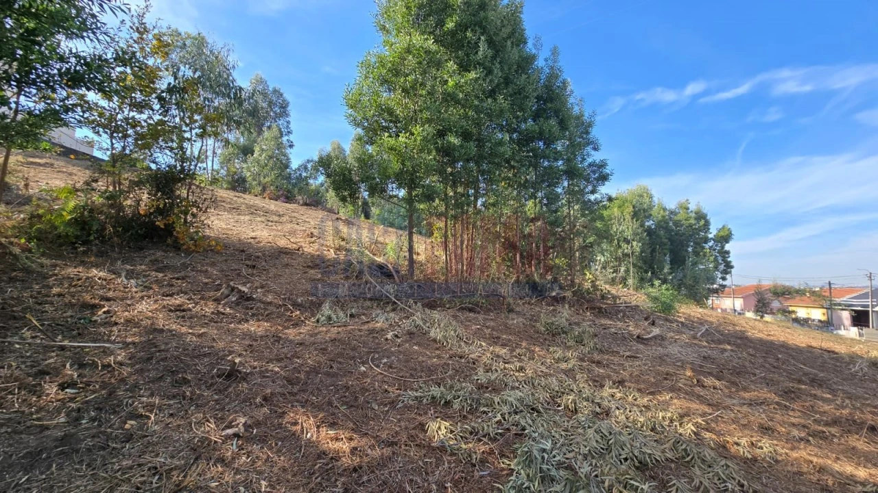 Terreno para Venda em Pedroso e Seixezelo Foto 3