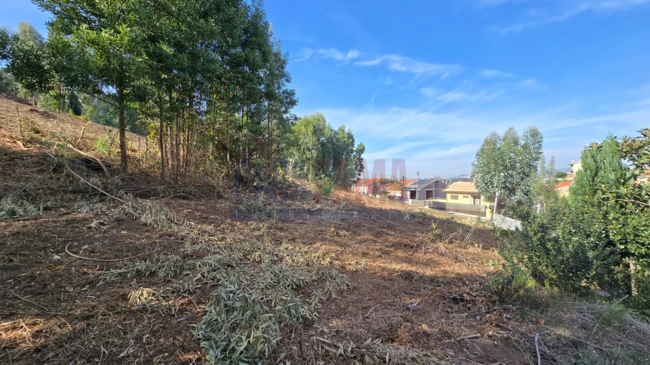 Terreno para Venda em Pedroso e Seixezelo Foto 10