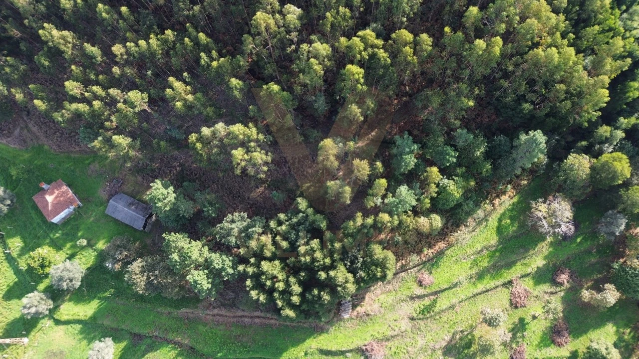 Terreno para Venda em Cabração e Moreira do Lima Foto 4