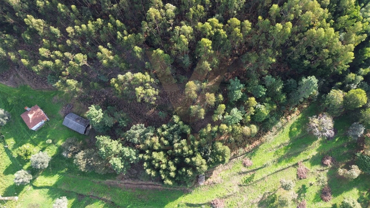 Terreno para Venda em Cabração e Moreira do Lima Foto 10