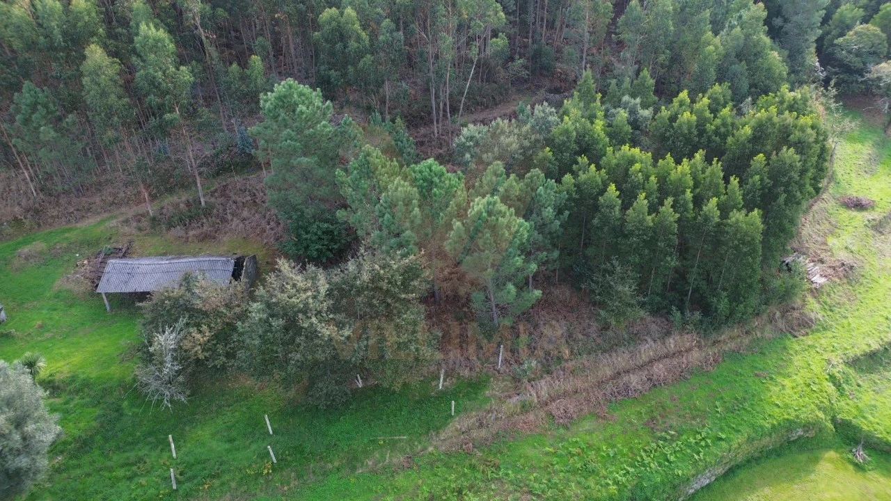Terreno para Venda em Cabração e Moreira do Lima Foto 11
