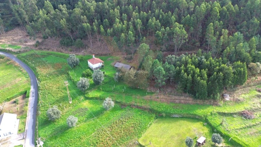 Terreno para Venda em Cabração e Moreira do Lima Foto 8