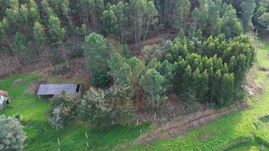 Terreno para Venda em Cabração e Moreira do Lima Foto 3