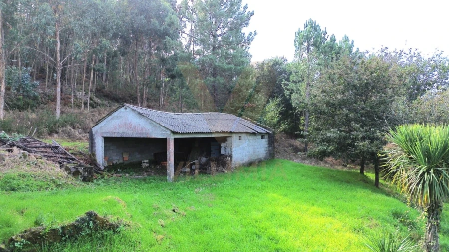 Terreno para Venda em Cabração e Moreira do Lima Foto 5