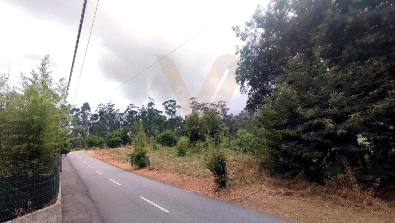 Terreno para Venda em Poiares Foto 2
