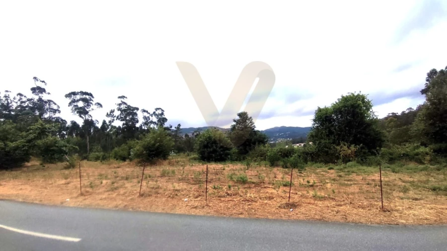 Terreno para Venda em Poiares Foto 4