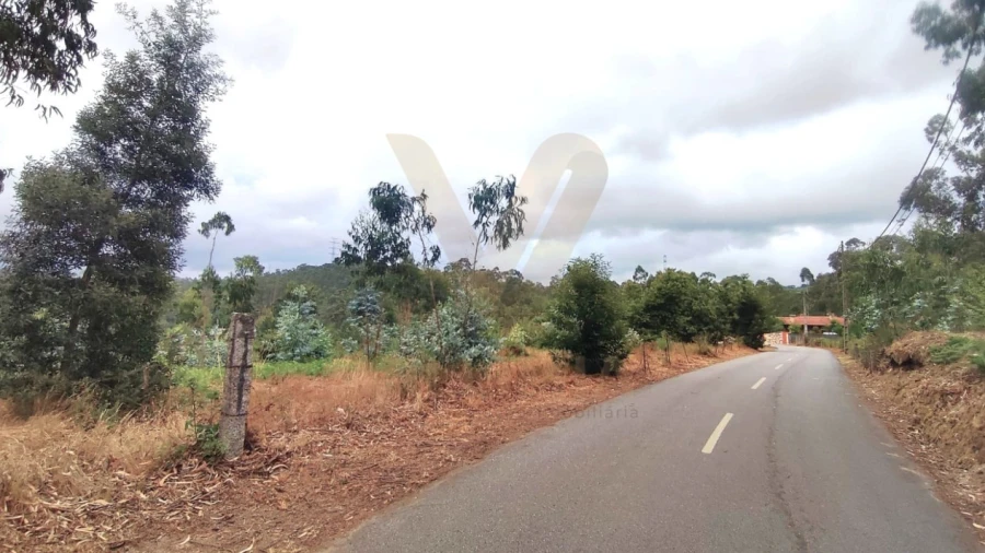 Terreno para Venda em Poiares