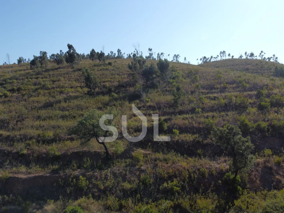 Terreno para Venda em Mexilhoeira Grande Foto 7