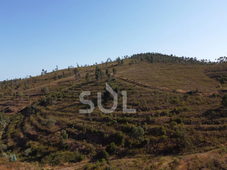 Terreno para Venda em Mexilhoeira Grande Foto 8