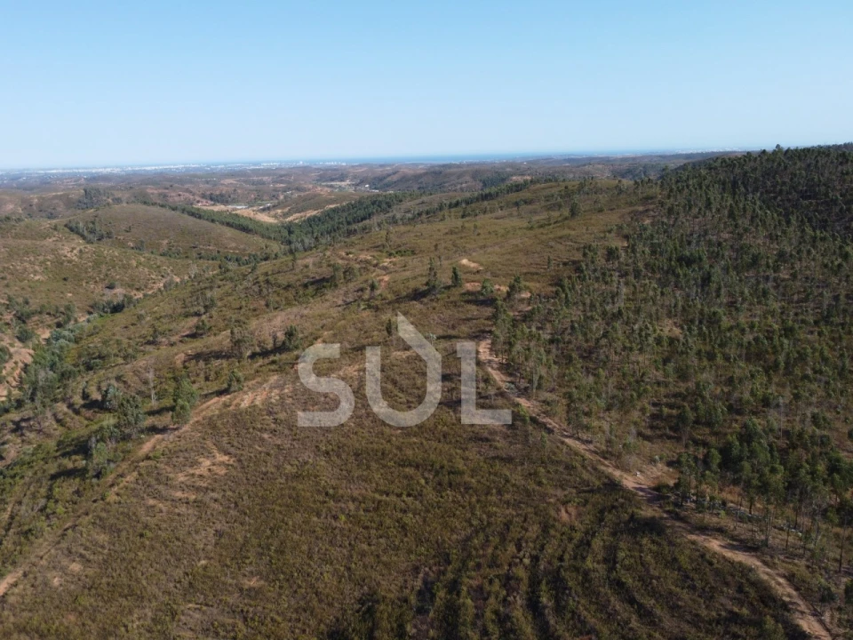 Terreno para Venda em Mexilhoeira Grande Foto 11