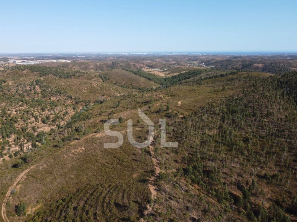 Terreno para Venda em Mexilhoeira Grande Foto 12