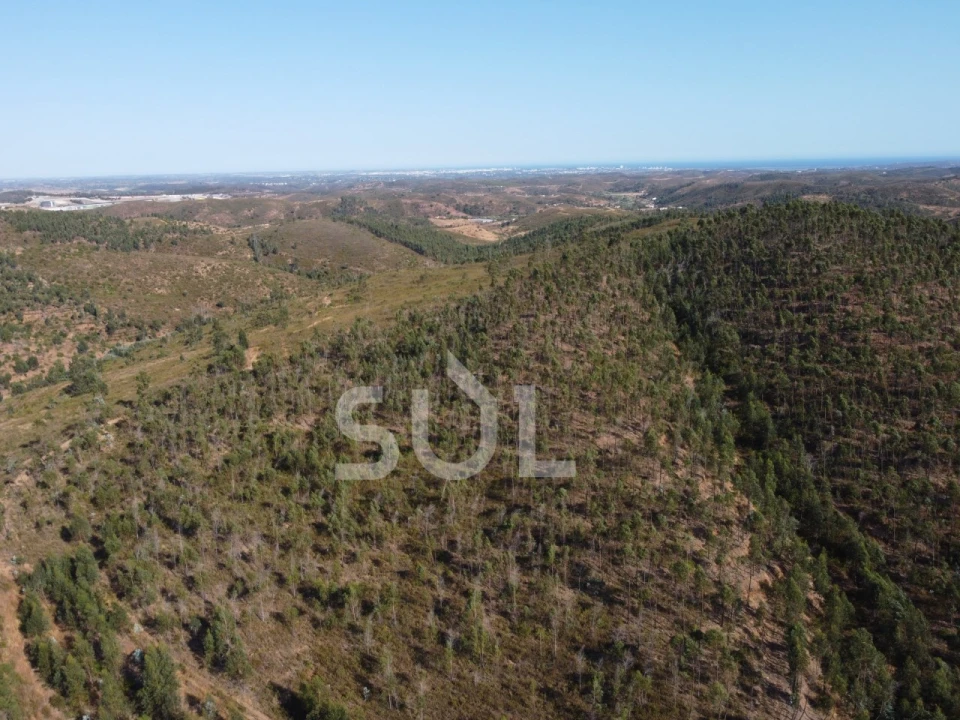 Terreno para Venda em Mexilhoeira Grande Foto 14