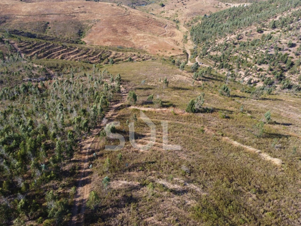 Terreno para Venda em Mexilhoeira Grande Foto 16