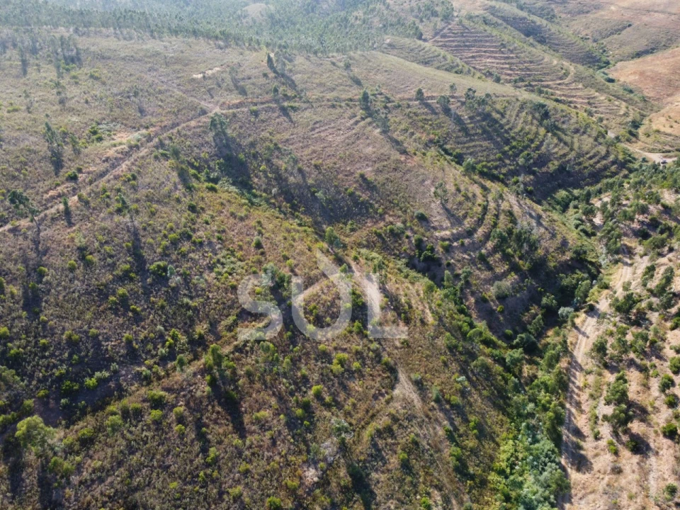 Terreno para Venda em Mexilhoeira Grande Foto 18