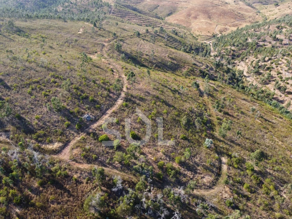 Terreno para Venda em Mexilhoeira Grande Foto 19