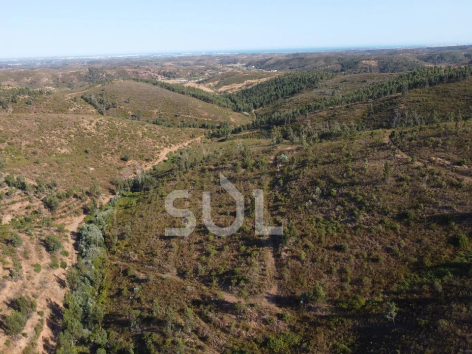 Terreno para Venda em Mexilhoeira Grande Foto 24