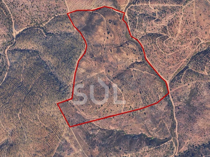 Terreno para Venda em Mexilhoeira Grande Foto 1