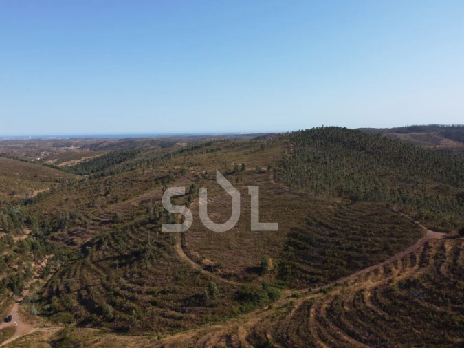 Terreno para Venda em Mexilhoeira Grande Foto 9
