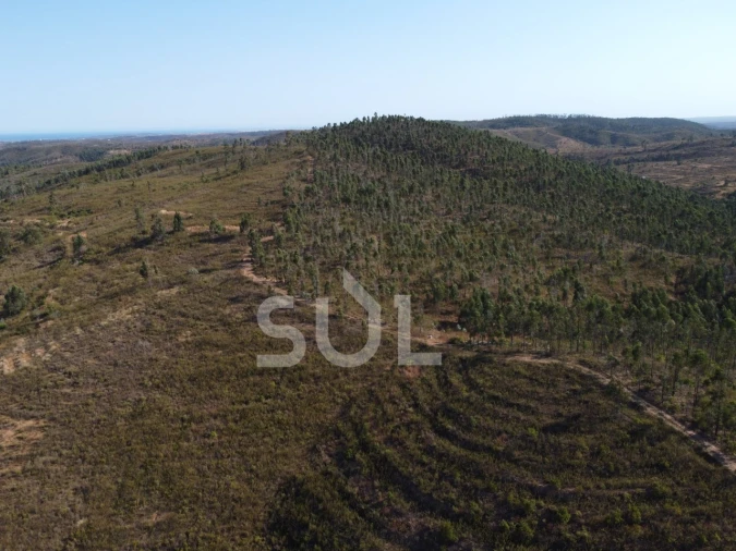 Terreno para Venda em Mexilhoeira Grande Foto 10