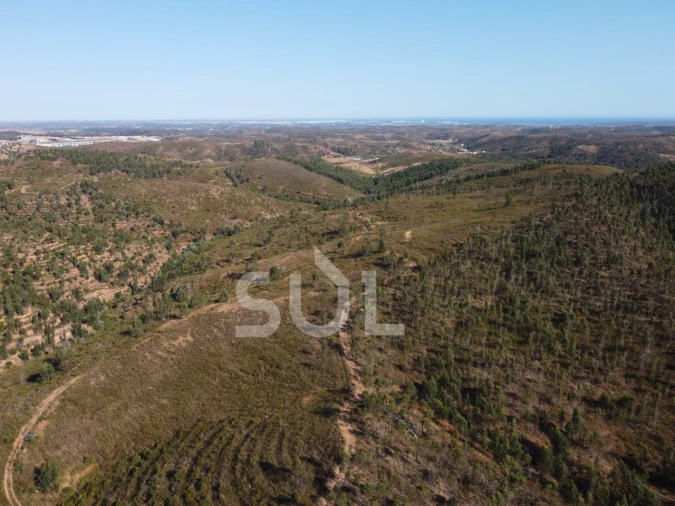 Terreno para Venda em Mexilhoeira Grande Foto 12