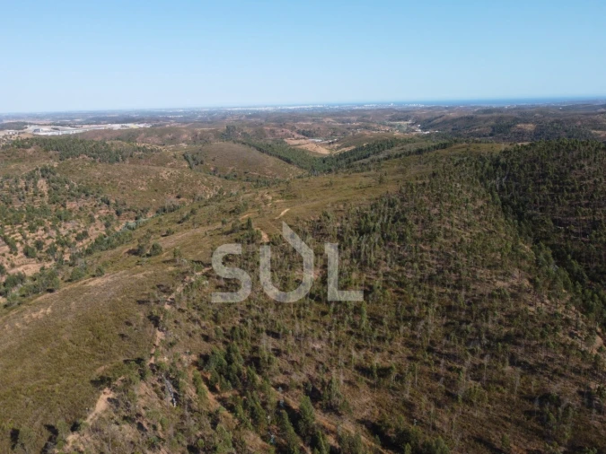 Terreno para Venda em Mexilhoeira Grande Foto 13