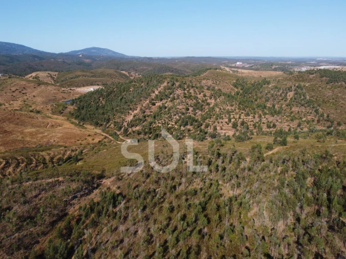 Terreno para Venda em Mexilhoeira Grande Foto 15