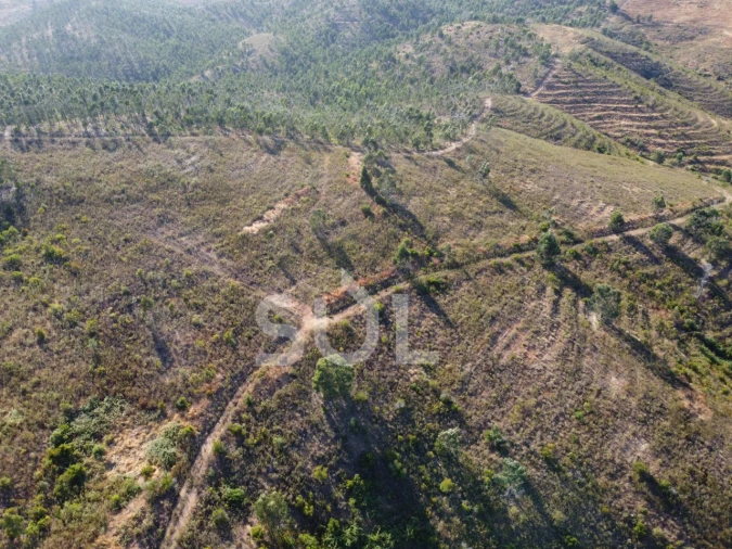 Terreno para Venda em Mexilhoeira Grande Foto 17