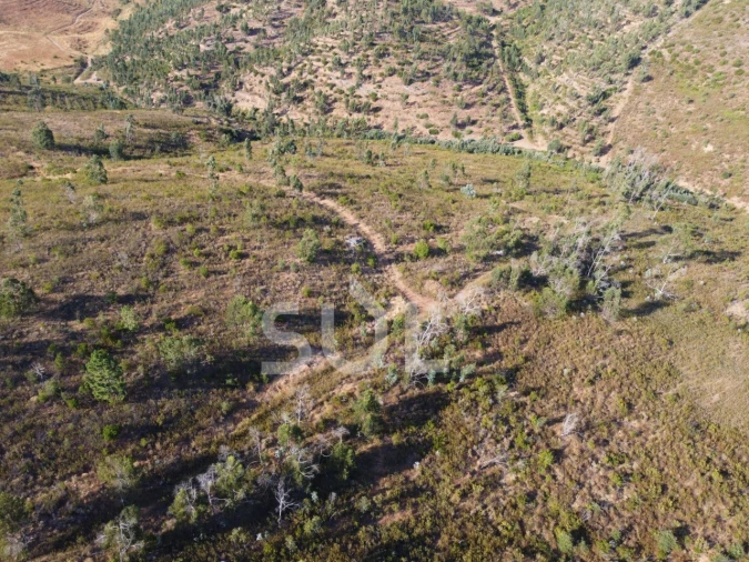 Terreno para Venda em Mexilhoeira Grande Foto 20