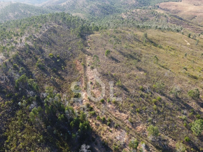 Terreno para Venda em Mexilhoeira Grande Foto 21