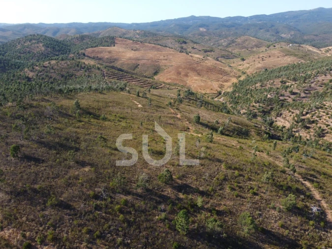 Terreno para Venda em Mexilhoeira Grande Foto 22