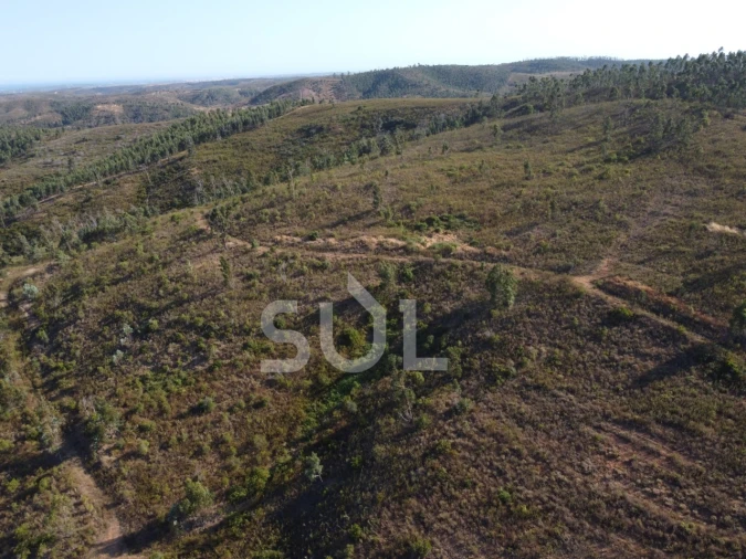 Terreno para Venda em Mexilhoeira Grande Foto 23