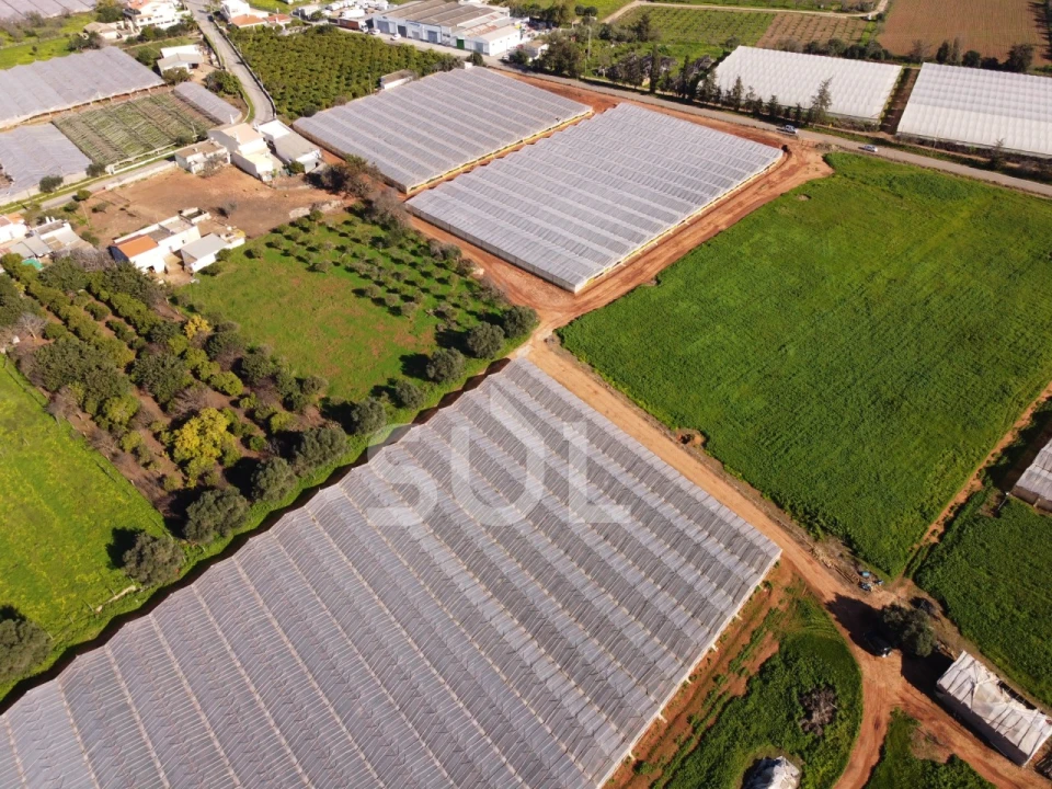 Terreno para Venda em Conceição e Estoi Foto 12