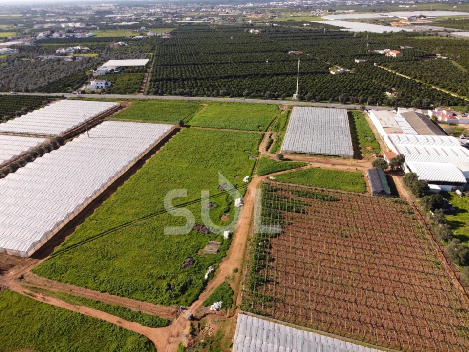 Terreno para Venda em Conceição e Estoi Foto 14