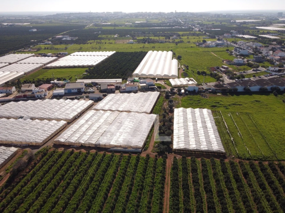 Terreno para Venda em Conceição e Estoi Foto 17