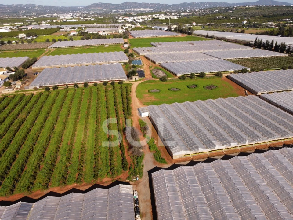 Terreno para Venda em Conceição e Estoi Foto 20