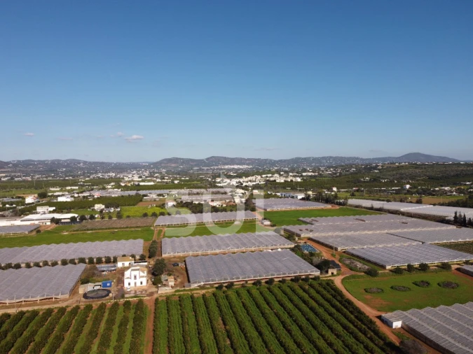 Terreno para Venda em Conceição e Estoi Foto 4