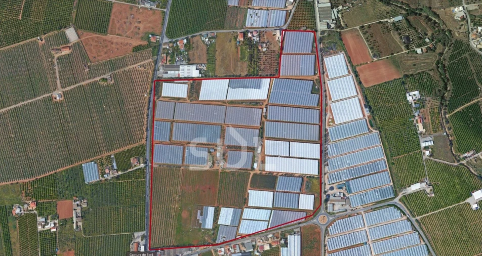 Terreno para Venda em Conceição e Estoi Foto 3