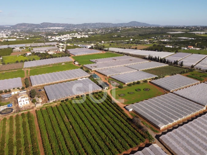 Terreno para Venda em Conceição e Estoi Foto 6
