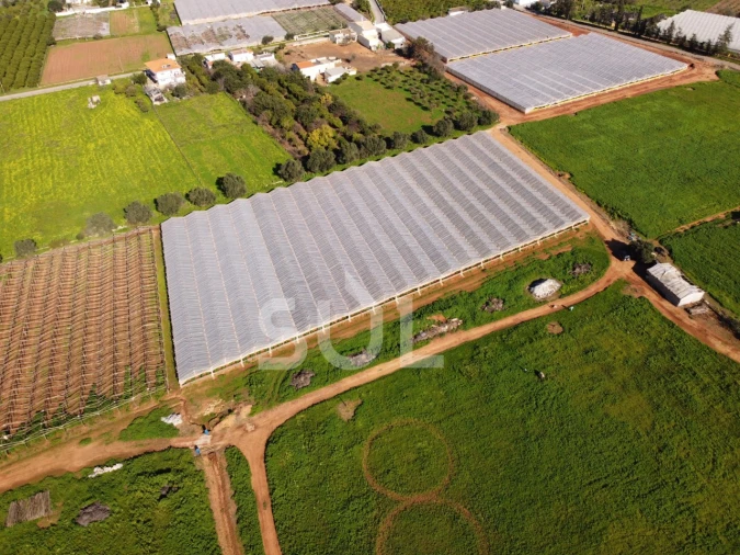 Terreno para Venda em Conceição e Estoi Foto 11