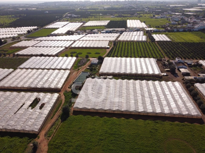Terreno para Venda em Conceição e Estoi Foto 13