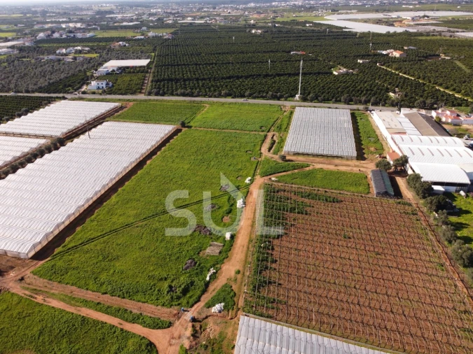 Terreno para Venda em Conceição e Estoi Foto 14