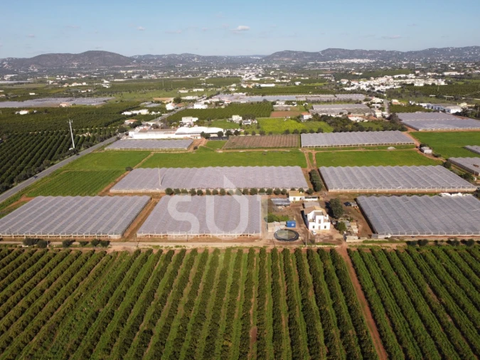 Terreno para Venda em Conceição e Estoi Foto 16