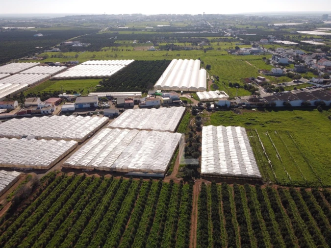 Terreno para Venda em Conceição e Estoi Foto 17