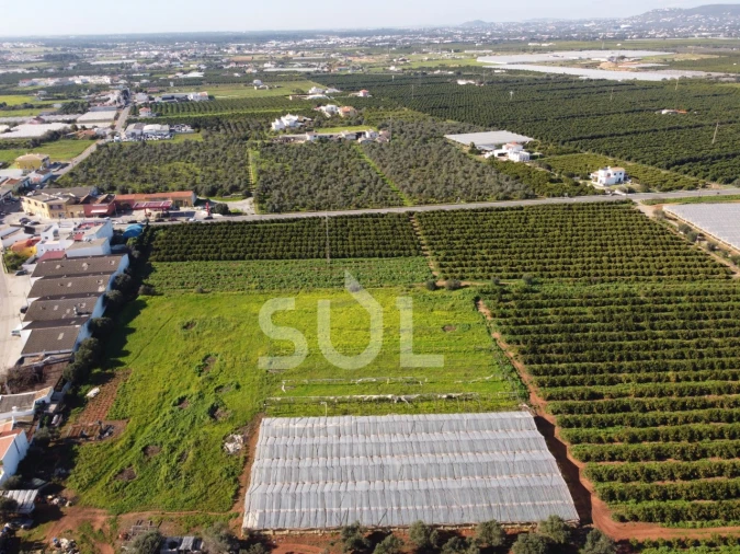Terreno para Venda em Conceição e Estoi Foto 19