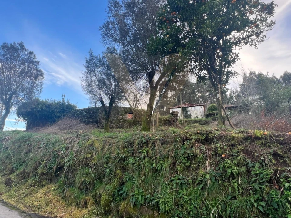 Terreno para Venda em Anais Foto 4