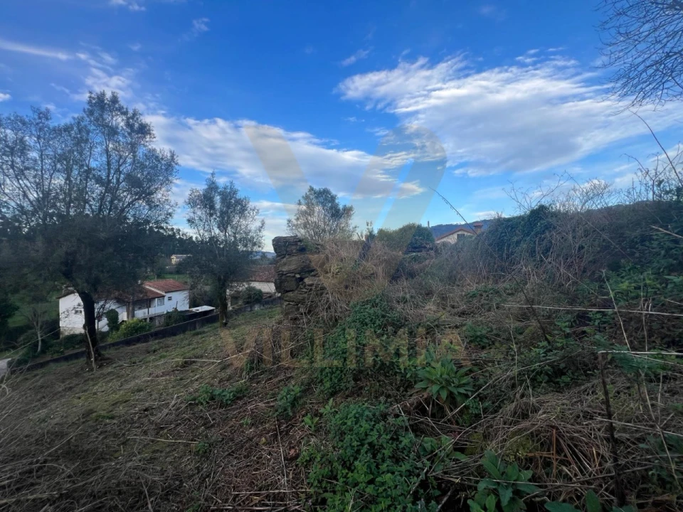 Terreno para Venda em Anais Foto 7