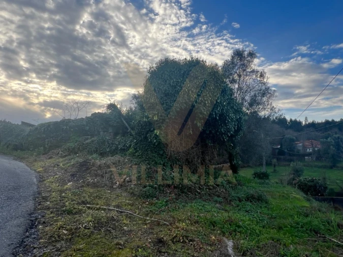 Terreno para Venda em Anais Foto 3