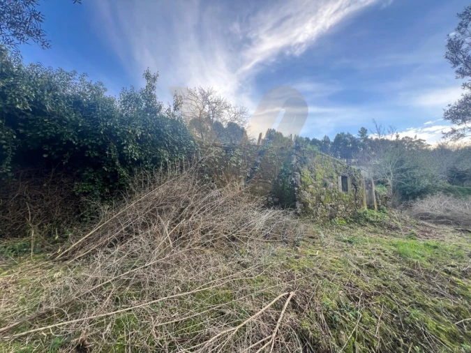 Terreno para Venda em Anais Foto 5